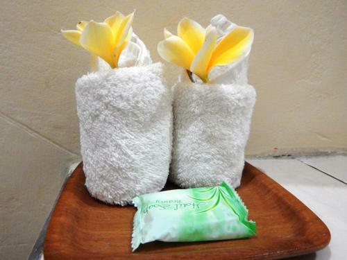 Hostal Giri Sari Guest House