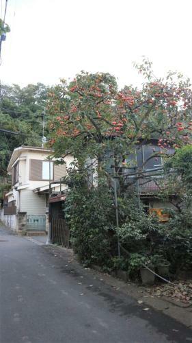Hostal Sadie's Home