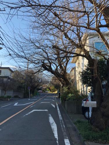 Apartamento Kamakurayama Holiday Flat