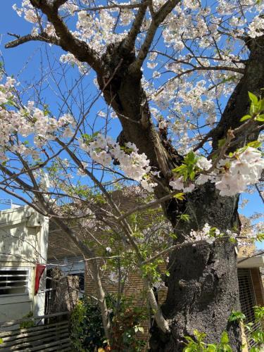 Apartamento Kamakurayama Holiday Flat