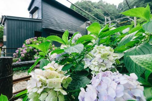 Apartamento Villa Kamakura