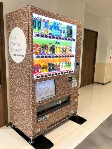 Albergue Wild Cherry Blossom-hostel,tokyo Koganei-