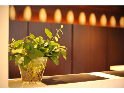 7 Days Hotel Plus - Vacation Stay 84903