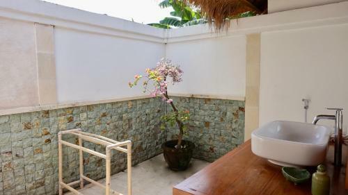 Rhipidura Bungalows