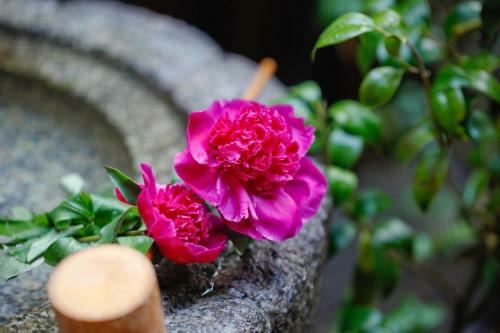 Kyoto Umekoji Mayumi