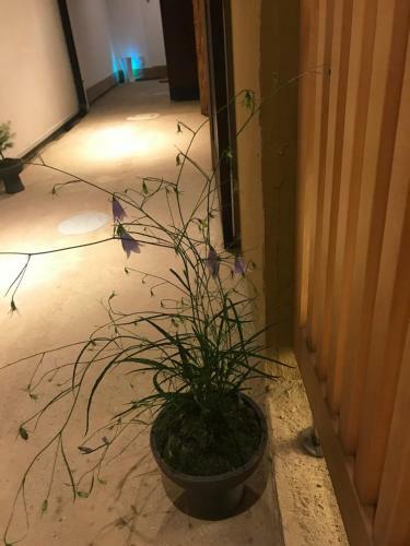 Auberge Azabu