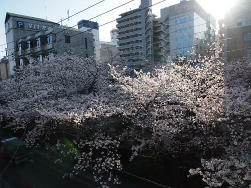 Business Hotel Shusenkaku