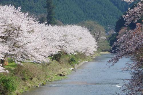 Ryoso Chatani