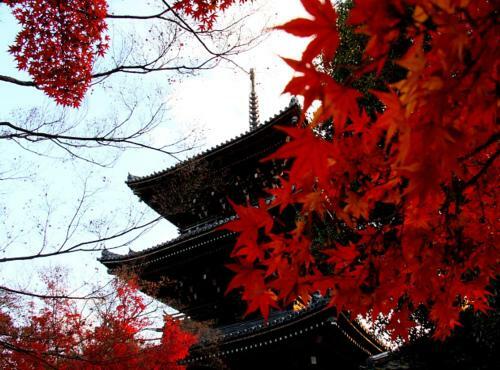 My Kyoto Pied � Terre Ninoan