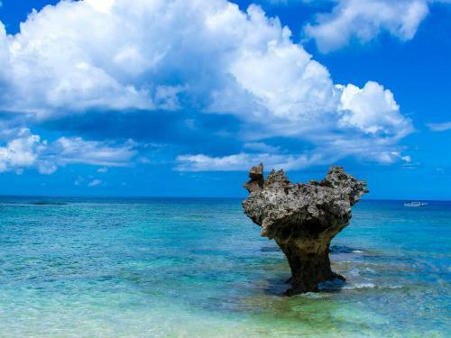 Hostal Nel Beach Rosso / Vacation Stay 17520