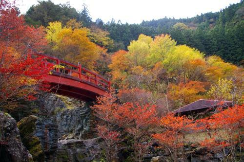 Posada Nature Resort In Niyodo