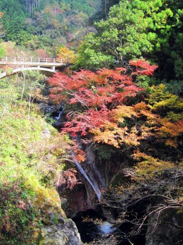 Posada Nature Resort In Niyodo