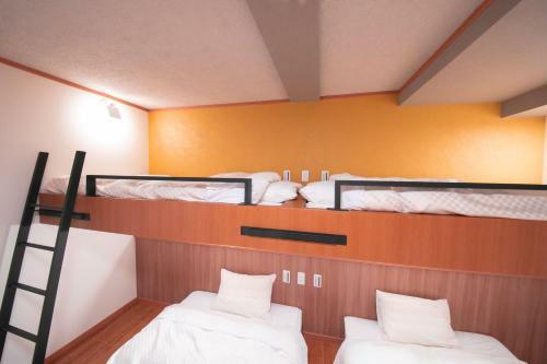 Narita Aic Airport Hotel