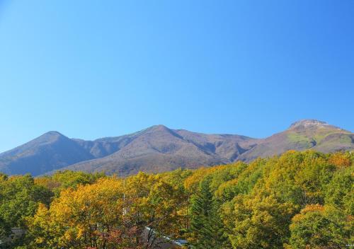 Nasu Hoshi No Akari