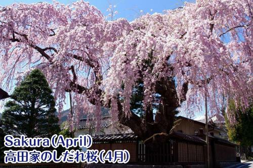 Hostal Nikko Stay House Arai - Vacation Stay 14988v