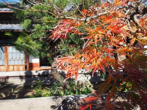 Hostal Guest House Sekino