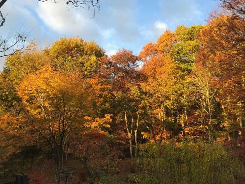 Hostal Foresta Karuizawa