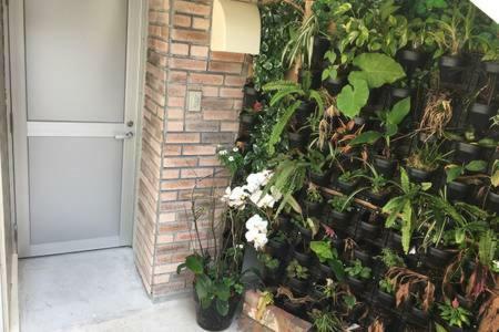 Hotel Beachhouse 2 With Private Beach Free Kayak Rental