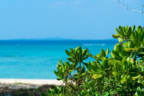Hotel Umito Plage The Atta Okinawa