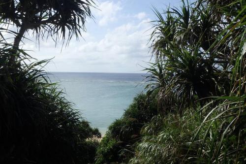 Apartamento Ocean Resort 206
