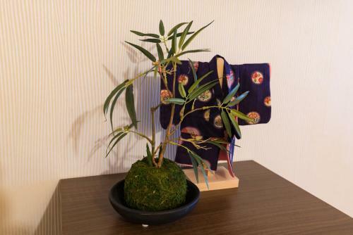 Apartamentos Bijou Suites Kokoro