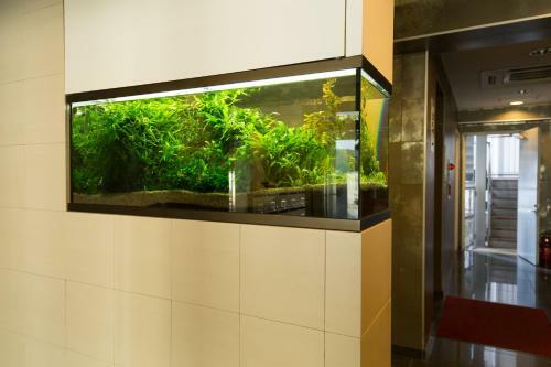 Apartamento Bamboo House-kyobashi-