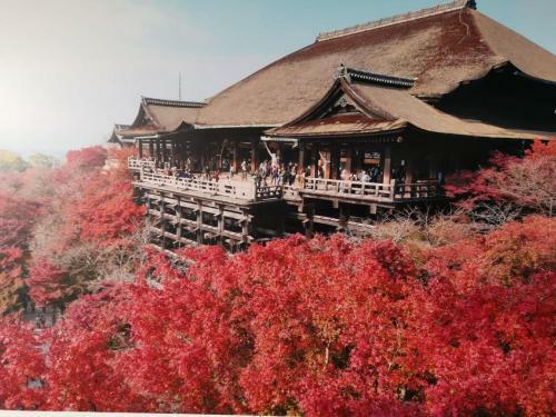 Guest House Kyoko - Vacation Stay 20579v