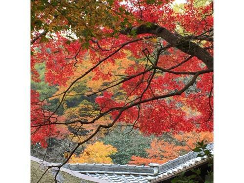 Guest House Kyoko - Vacation Stay 20579v