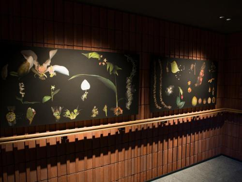 Hotel The Knot Sapporo