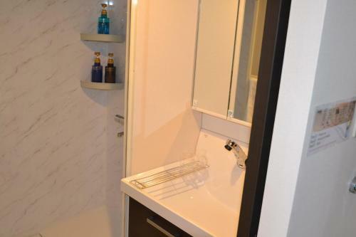 Sapporo Central Apartment P201