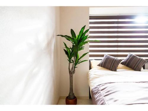 Apartamento Prime - Vacation Stay 9609