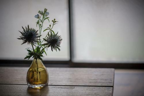 Hostal Guesthouse Masukichi