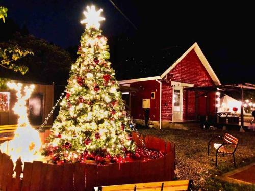 Tree Club - Vacation Stay 13261v