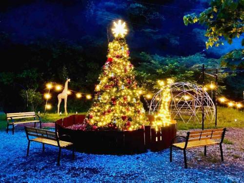 Tree Club - Vacation Stay 13261v