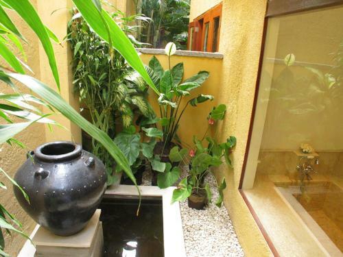 D'sriwing Villa Gallery