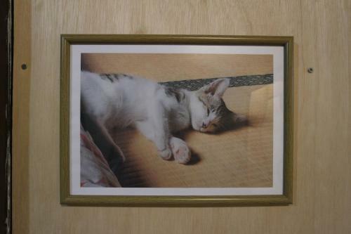 Hostal Tomi - Vacation Stay 10557