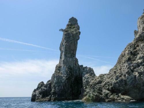 Hotel Avan Sukumo - Vacation Stay 94480