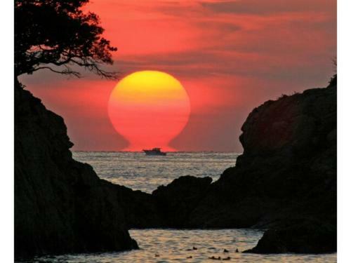 Hotel Avan Sukumo - Vacation Stay 94475
