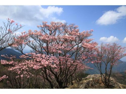 Hotel Avan Sukumo - Vacation Stay 94488