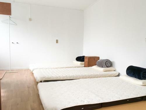 Albergue Machicado