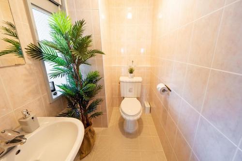 Apartamento Sea Side Toya 302