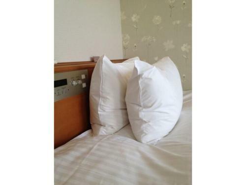 Tottori City Hotel / Vacation Stay 81359