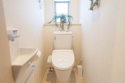Okinawa Beach House Golden Drop S