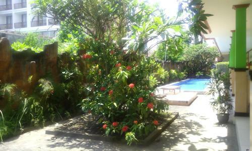 Hotel Taxa Inn Kuta Raya