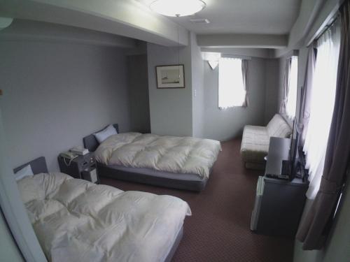 Hotel Alphastar Iwappara - Vacation Stay31696