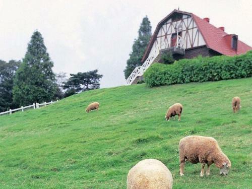 Akashi Castle Hotel - Vacation Stay 83573
