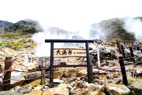 Forest Villa Hakone - Vacation Stay 05424v