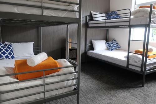 Albergue Starfall Lodge