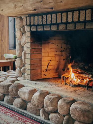 Hotel Apricot Pension