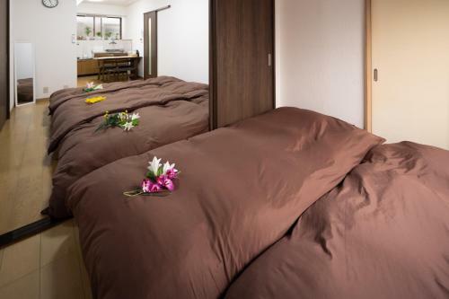 Apartamentos Guest House Shine Bright